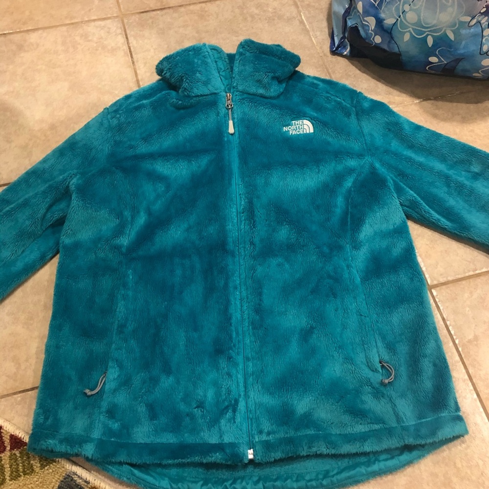 Blue Fuzzy North Face Jacket